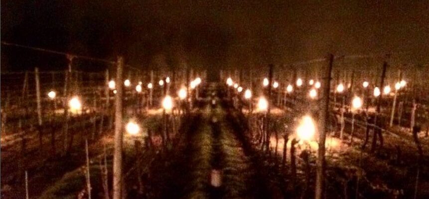 Ridgeview Wine Estate Bougies