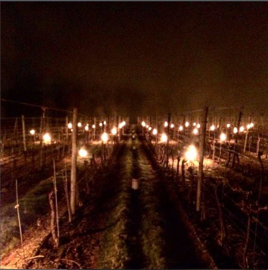 Ridgeview Wine Estate Bougies